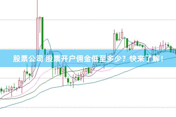 股票公司 股票开户佣金低至多少？快来了解！