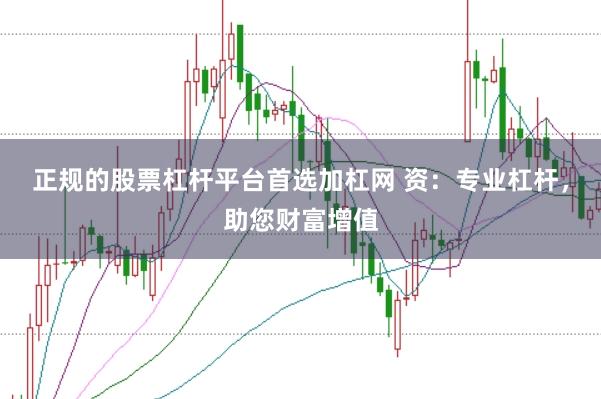正规的股票杠杆平台首选加杠网 资：专业杠杆，助您财富增值