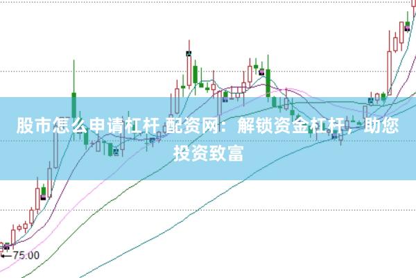 股市怎么申请杠杆 配资网：解锁资金杠杆，助您投资致富