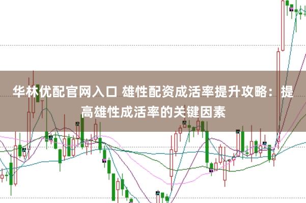 华林优配官网入口 雄性配资成活率提升攻略：提高雄性成活率的关键因素