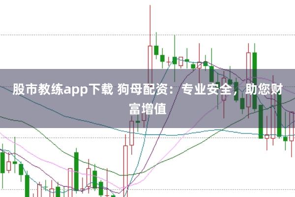 股市教练app下载 狗母配资：专业安全，助您财富增值