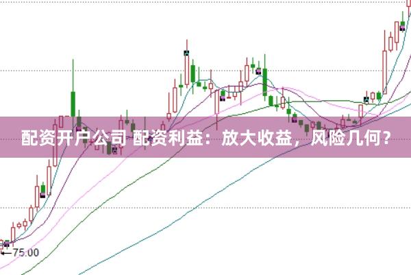 配资开户公司 配资利益：放大收益，风险几何？