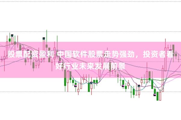股票配资盈利 中国软件股票走势强劲，投资者看好行业未来发展前景