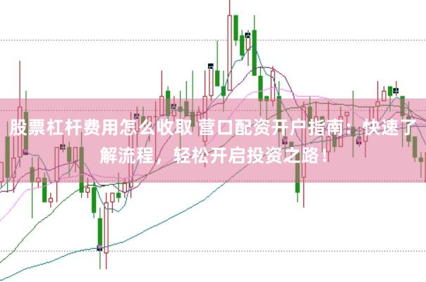 股票杠杆费用怎么收取 营口配资开户指南：快速了解流程，轻松开启投资之路！