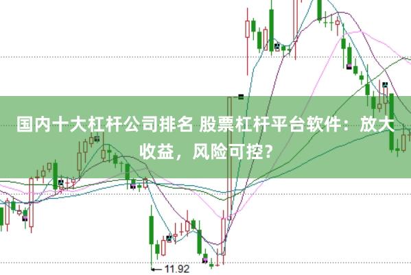 国内十大杠杆公司排名 股票杠杆平台软件：放大收益，风险可控？