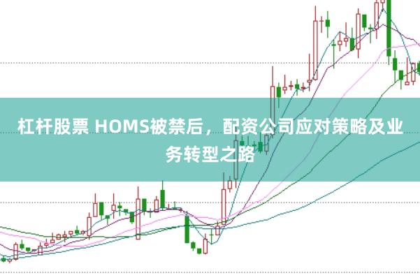 杠杆股票 HOMS被禁后，配资公司应对策略及业务转型之路