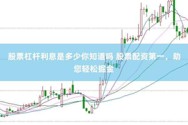 股票杠杆利息是多少你知道吗 股票配资第一，助您轻松掘金