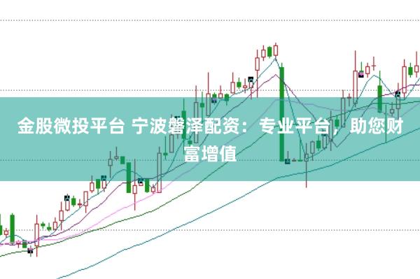 金股微投平台 宁波磐泽配资：专业平台，助您财富增值