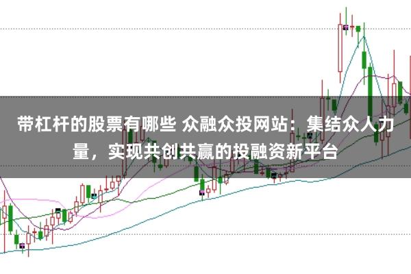 带杠杆的股票有哪些 众融众投网站：集结众人力量，实现共创共赢的投融资新平台