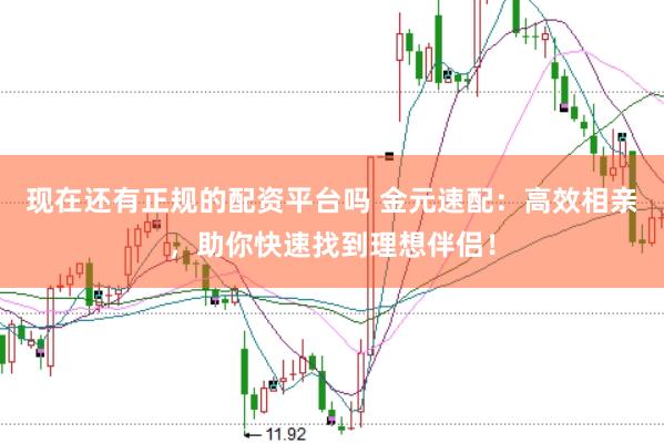 现在还有正规的配资平台吗 金元速配：高效相亲，助你快速找到理想伴侣！
