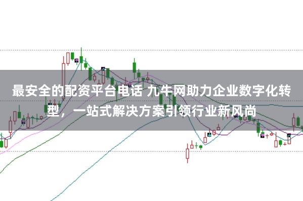 最安全的配资平台电话 九牛网助力企业数字化转型，一站式解决方案引领行业新风尚