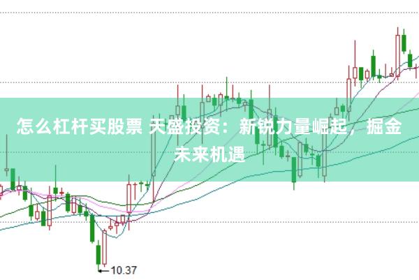 怎么杠杆买股票 天盛投资：新锐力量崛起，掘金未来机遇