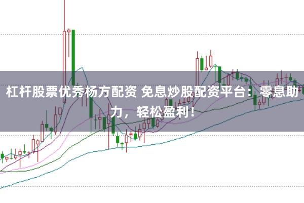 杠杆股票优秀杨方配资 免息炒股配资平台：零息助力，轻松盈利！