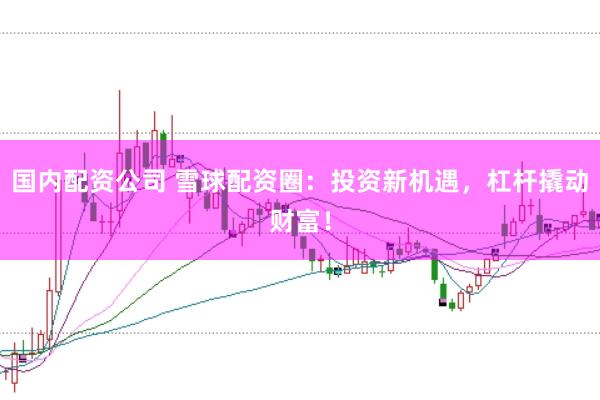 国内配资公司 雪球配资圈：投资新机遇，杠杆撬动财富！