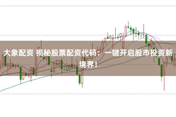 大象配资 揭秘股票配资代码：一键开启股市投资新境界！