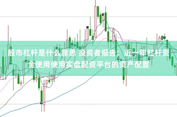 股市杠杆是什么意思 投资者报告:近一年杠杆资金使用使用实盘配资平台的资产配置