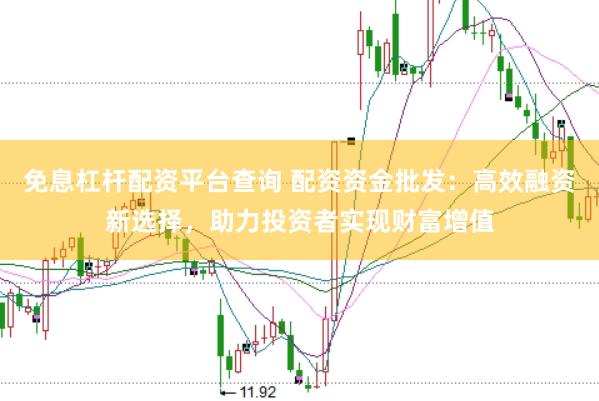 免息杠杆配资平台查询 配资资金批发：高效融资新选择，助力投资者实现财富增值