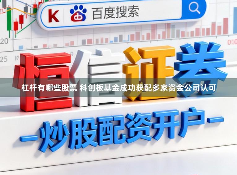 杠杆有哪些股票 科创板基金成功获配多家资金公司认可